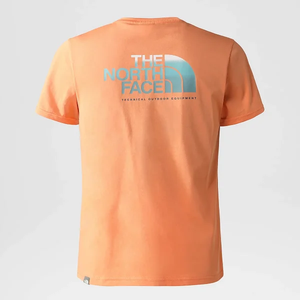 THE NORTH FACE - חולצת טי קצרה גברים GRAPHIC – TA83FQN6M – dusty-coral-orange – 1