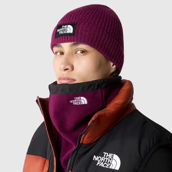 THE NORTH FACE - כובע גרב TNF LOGO BOX CUFFED – TA3FJXI0H – boysenberry – 1