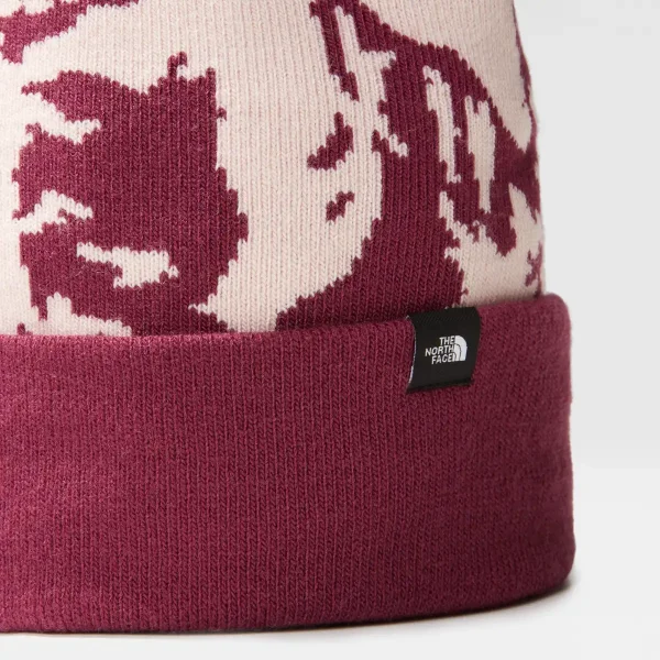 THE NORTH FACE - כובע גרב SKI TUKE – TA4SIEK6I – boysenberry-pink-moss – 1