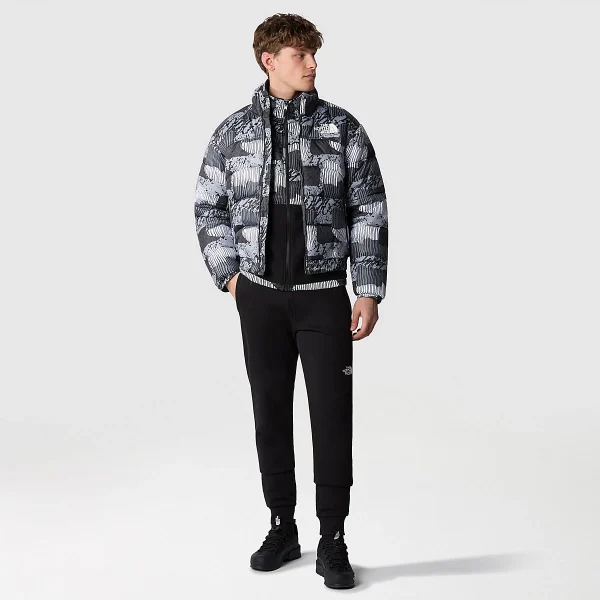 THE NORTH FACE - מעיל פוך סינתטי גברים 2000 – TA7UREONZ – asphalt-grey-abstract-yosemite-print – 7