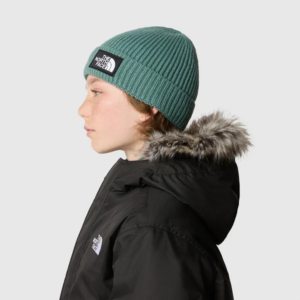 THE NORTH FACE - כובע גרב ילדים TNF BOX LOGO CUFF – TA7WGCI0F – dark-sage – 3