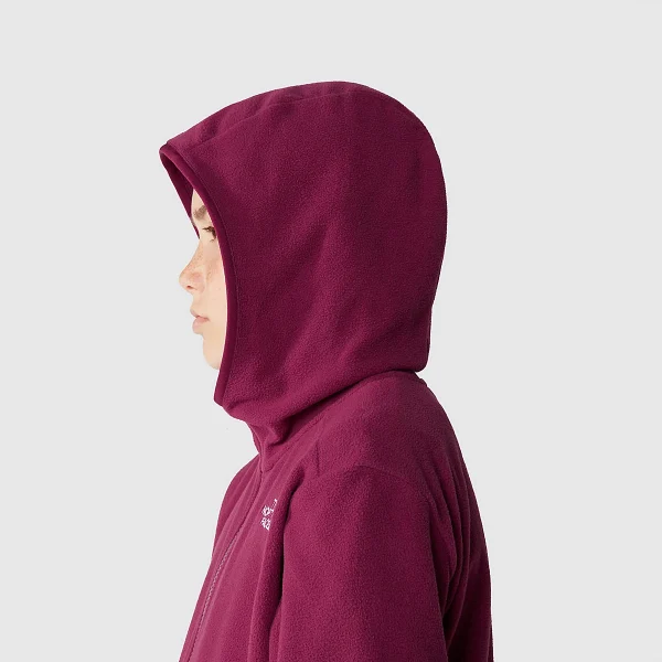 THE NORTH FACE - מעיל נוער עם רוכסן GLACIER – TA82TVI0H – boysenberry – 5
