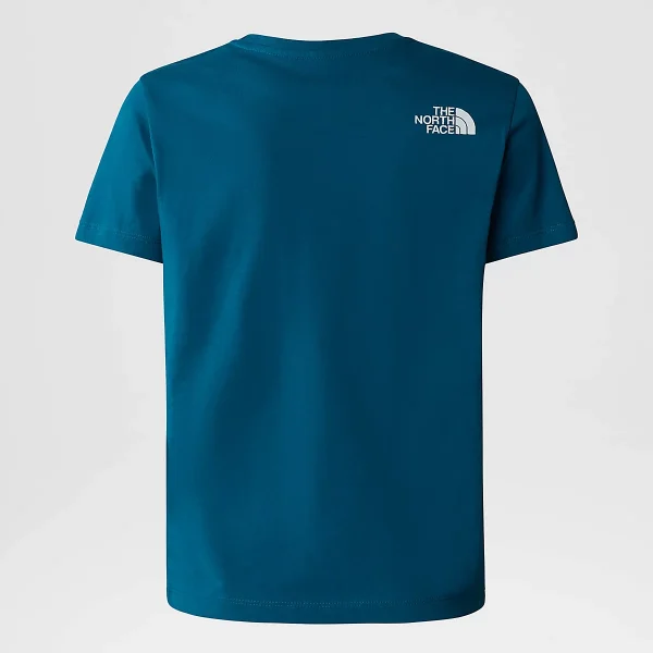 THE NORTH FACE - חולצת טי קצרה נוער GRAPHIC – TA877WYAO – blue-moss-lemon-yellow – 2