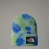 THE NORTH FACE - כובע גרב TIE DYE LOGO BOX – TA7WJI9CI – muted-pine-tnf-blue-lime-citrus – 1