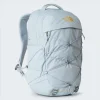 THE NORTH FACE - תיק גב נשים BOREALIS LUXE – TA81E7NOT – frost-grey-gold-metallic – 1