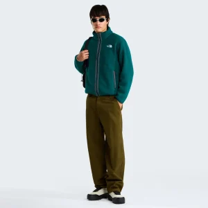 פליס גברים עם רוכסן מלא TNF FLEESKI