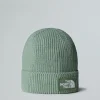 THE NORTH FACE - כובע גרב TNF LOGO BOX CUFFED – TA8CHED5M – slate-moss-bark-mist – 1