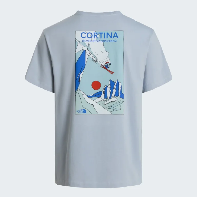 THE NORTH FACE - חולצת טי קצרה גברים MOUNTAIN CELEBRATION – TA8G9ZFM2 – frost-grey – 1
